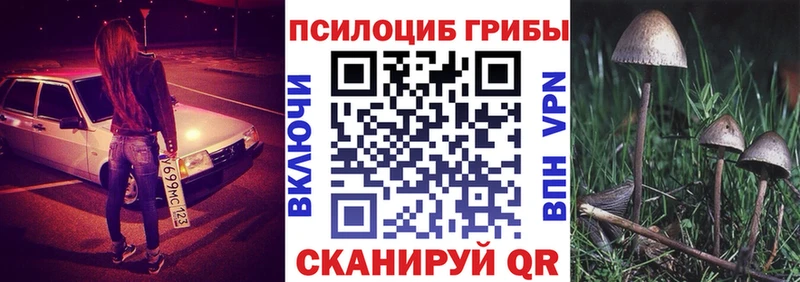 где можно купить наркотик  Корсаков  Галлюциногенные грибы MAGIC MUSHROOMS 